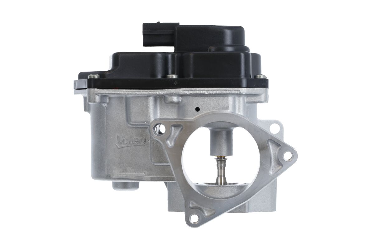 EGR Valve - 700424 VALEO